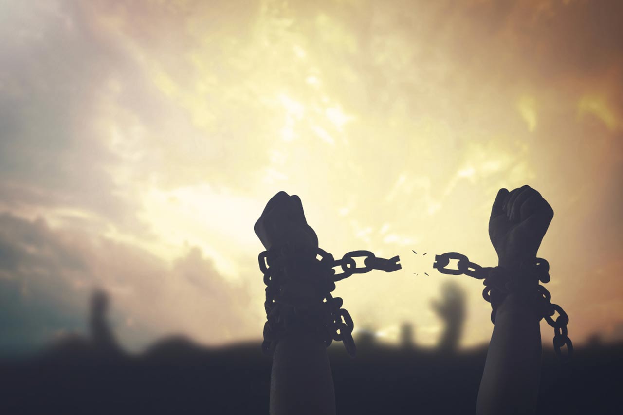 Incarceration, Abolition, and Liberating the Food System