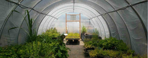 all/january-2021-newsletter-thumbnail