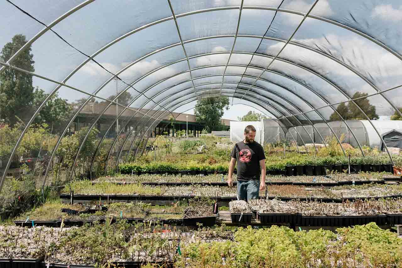 Kale, Not Jail: Urban Farming Nonprofit Helps Ex-Cons Re-enter Society