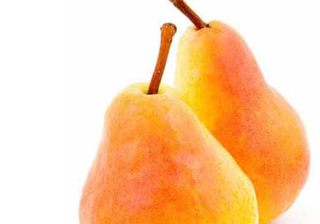 Pears, European (Pyrus communis)