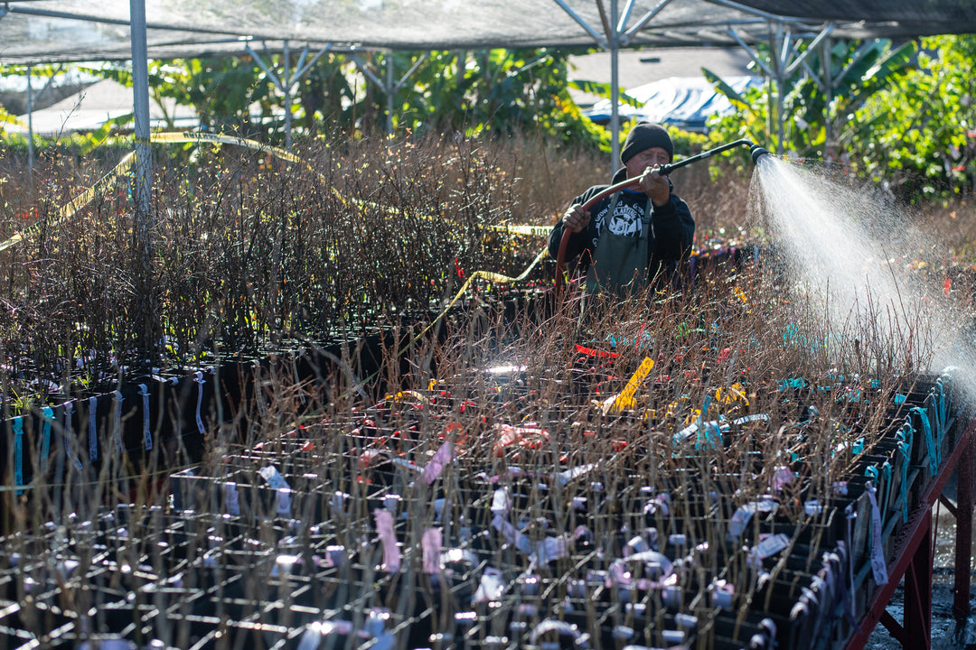 Growing the Food Justice Movement