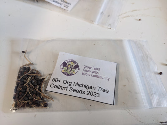 Michigan Tree Collard Seed Open Pollinated