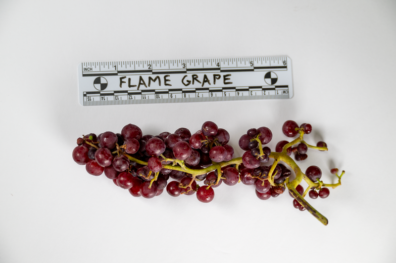 Load image into Gallery viewer, Flame Seedless Grape