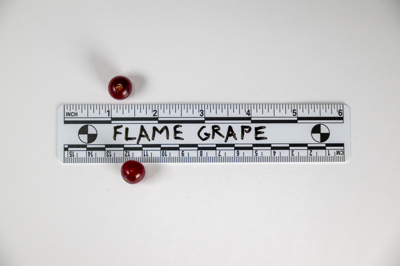 Load image into Gallery viewer, Flame Seedless Grape