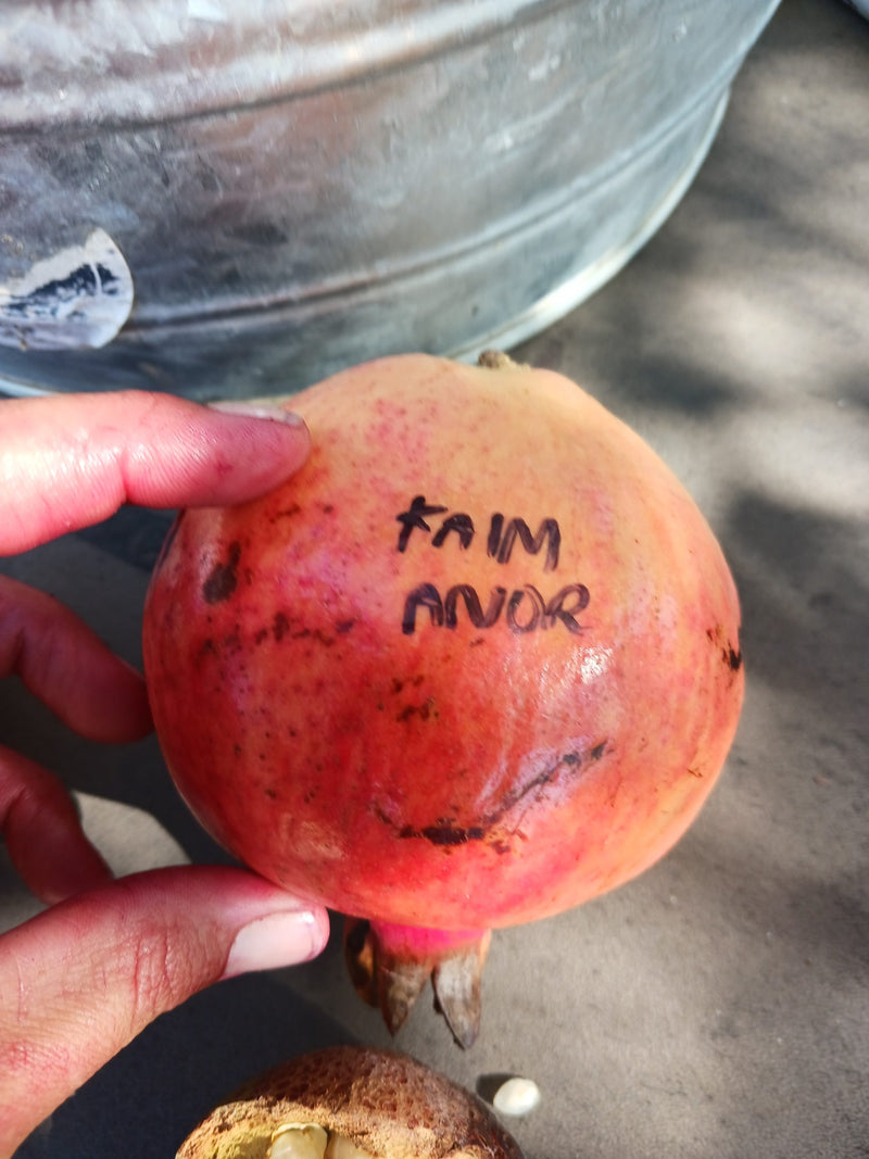 Load image into Gallery viewer, Kaim-anor Pomegranate