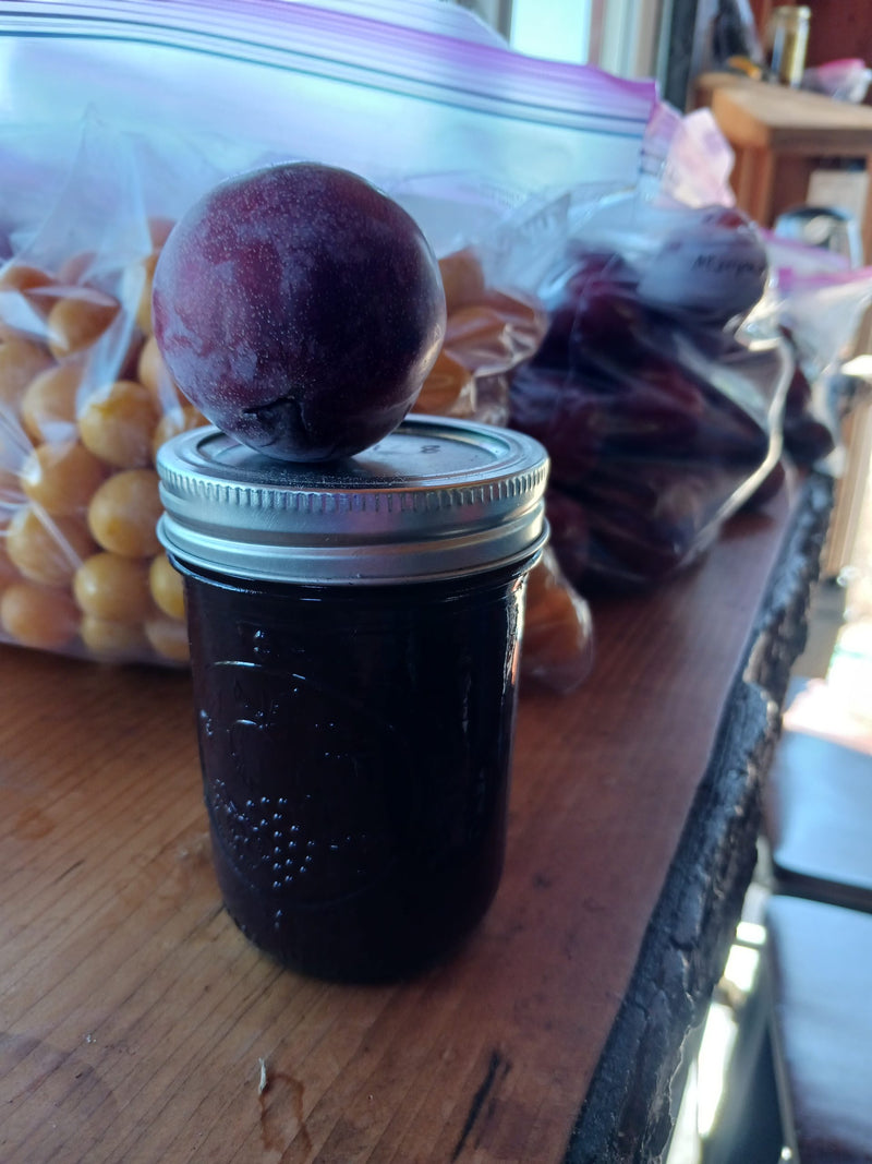 Load image into Gallery viewer, Mariposa Plum