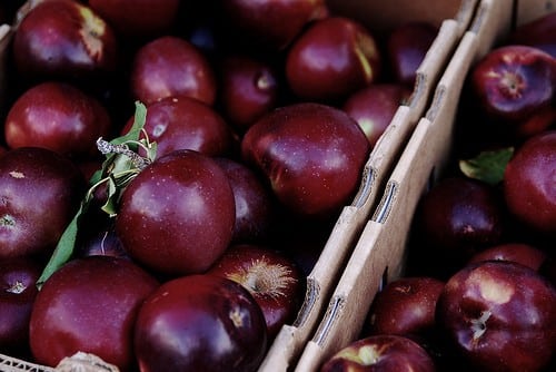 Load image into Gallery viewer, Arkansas Black Apple