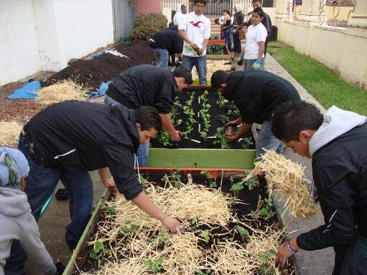 Feeding Our Roots: A Food Sovereignty Reflection by Marcelo Garzo