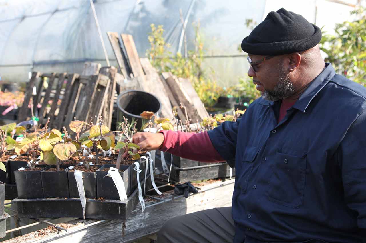 East Bay Food Justice Comrades