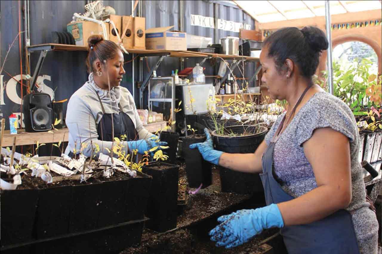 Planting Justice: Sobrante Park neighbors work together