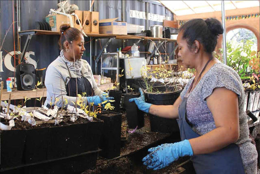 Planting Justice: Sobrante Park Neighbors Work Together