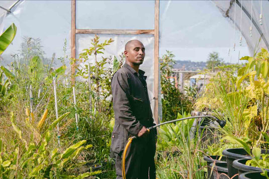 The Urban Garden Transforming Lives After Prison: ‘I’m Finally Free’