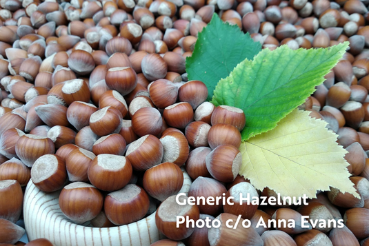 Fruity & Nutty 8-Plant Bundle