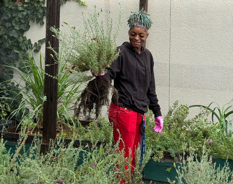 Dewey Academy-thumbnail