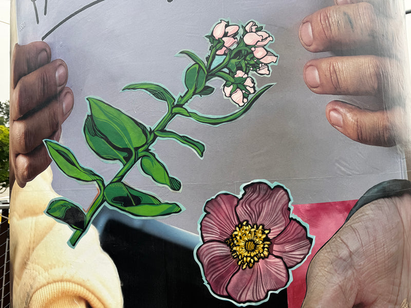 Abolitionist Art Opening & Film Screening
