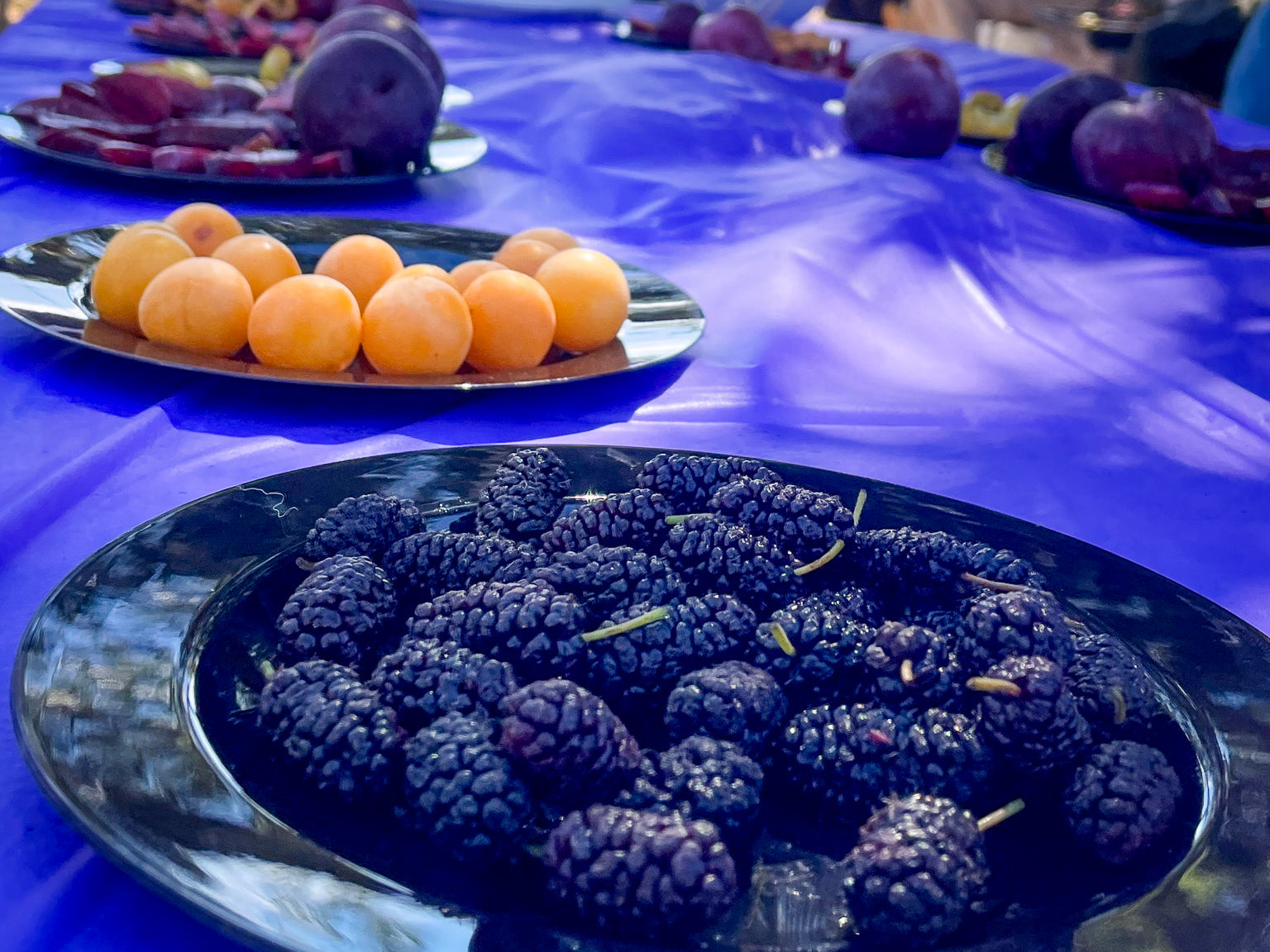 Mother Farm Early-ish Summer Fruit Tasting