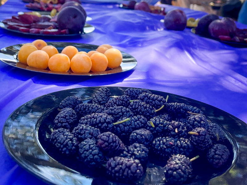 Mother Farm Early-ish Summer Fruit Tasting