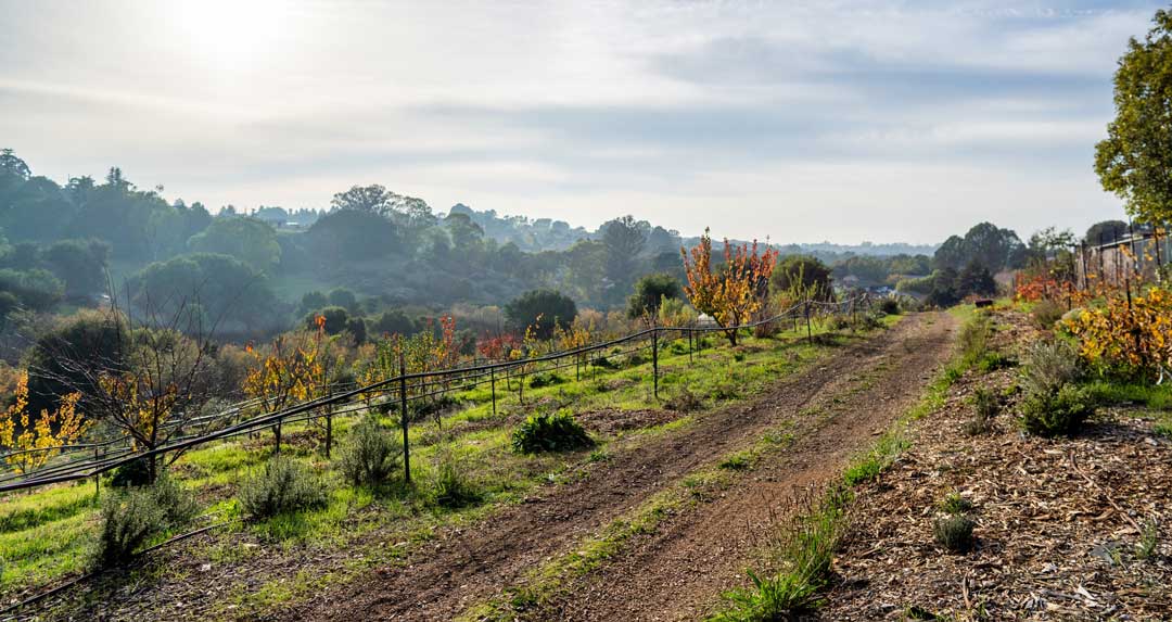 Mother Farm Products