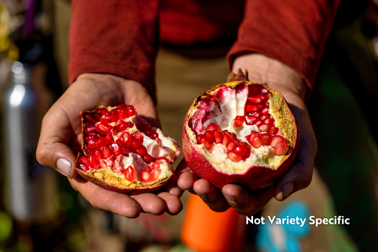 Balegal Pomegranate