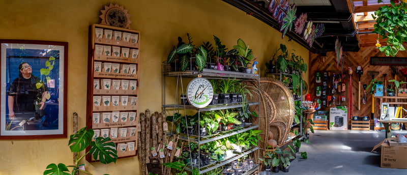 Grand Opening Celebration for The Good Table