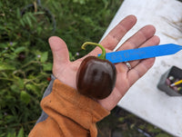 Big Brown Rocoto Pepper
