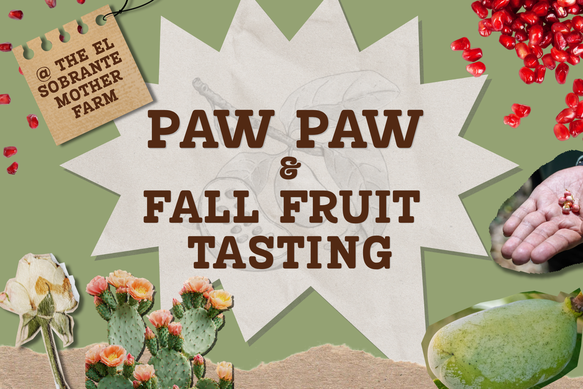 Pawpaw & Fall Fruit Tasting