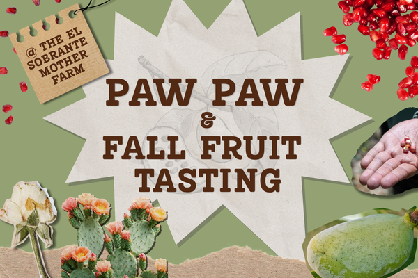 Pawpaw & Fall Fruit Tasting