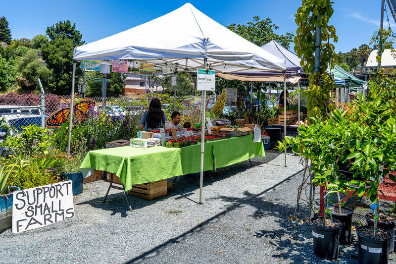 Yerena Farms
