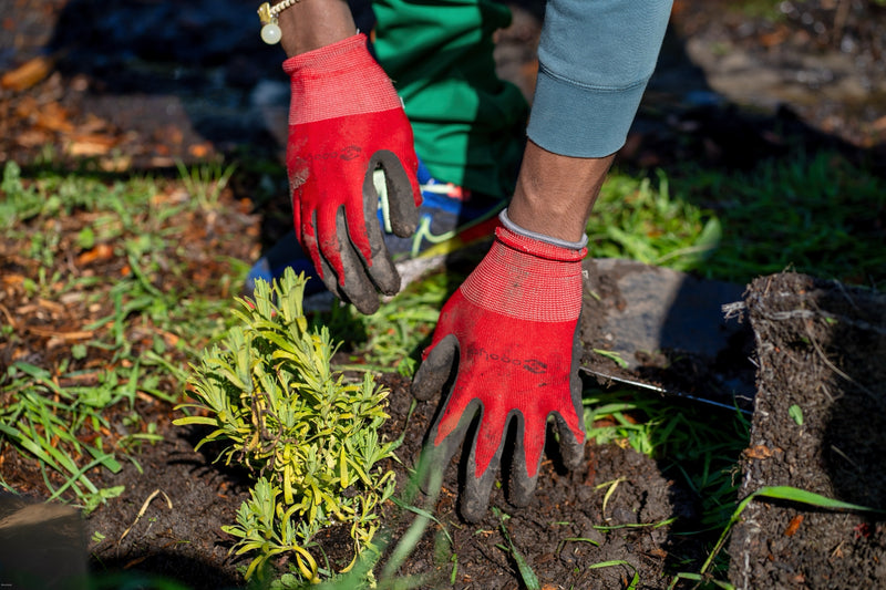 Thursday Volunteer Days @ The Mother Farm