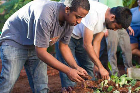 Transform Planting Transform Your Yard โ Planting Justice