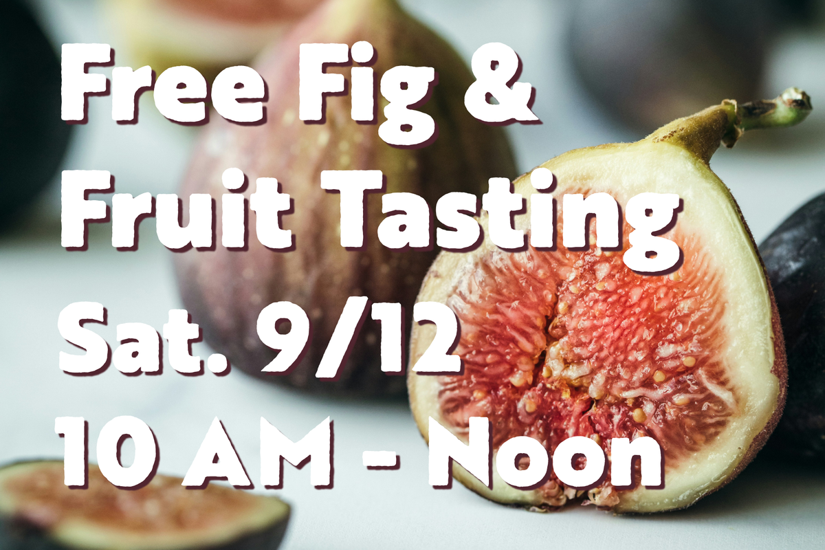 Free Fig & Fruit Tasting