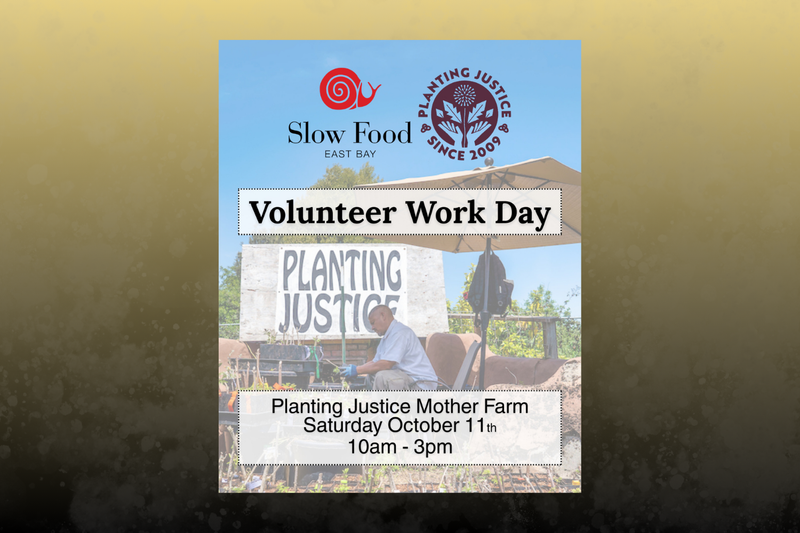 Slow Food East Bay Oct. 11th Volunteer Day