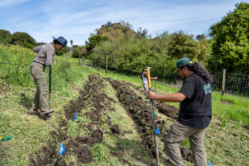 Tuesday Volunteer Days @ The Mother Farm