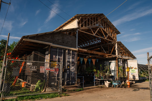 Browse Our East Oakland Nursery