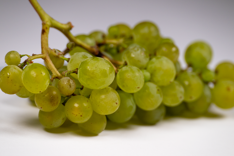 Load image into Gallery viewer, Seneca Grape
