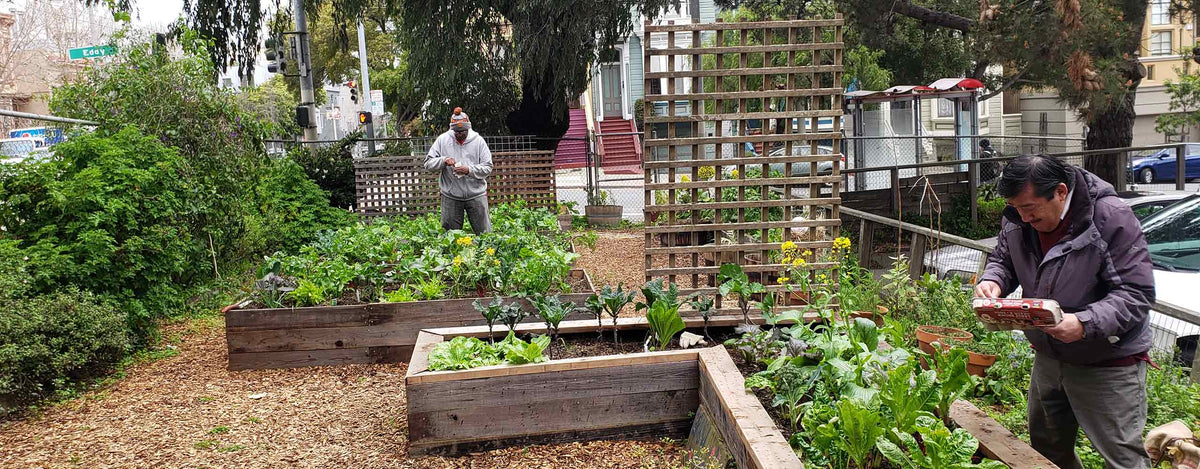 Transform Planting Transform Your Yard โ Planting Justice