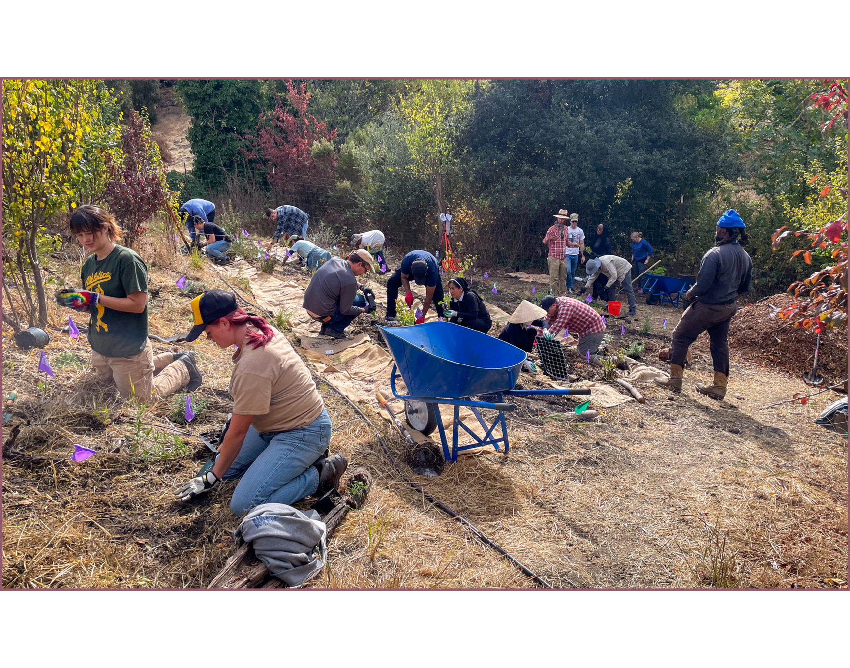 2nd Saturday Volunteer Day @ The Mother Farm