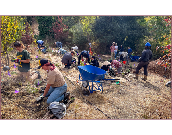 2nd Saturday Volunteer Day @ The Mother Farm