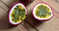 Red Rover Passion Fruit (Passiflora edulis)