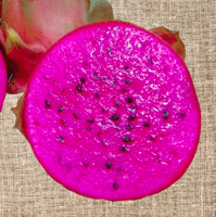 Pink Panther Dragon Fruit