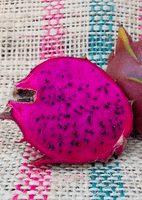 Paisley Dragon Fruit (1 Gallon)