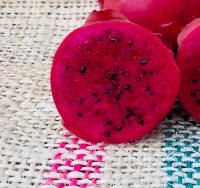 Houghton Red Dragon Fruit