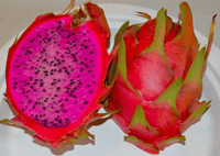 Physical Graffiti Dragon Fruit (1 Gallon)