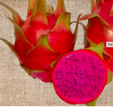 Halley's Comet Dragon Fruit – Planting Justice