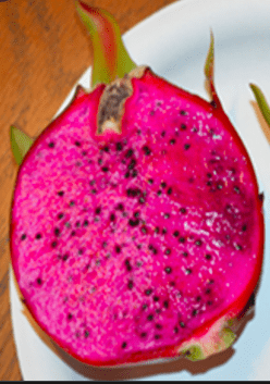 Rixford Dragon Fruit