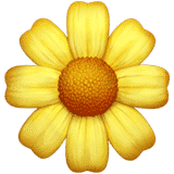 Marigold