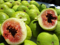 Calimyrna (Sari Lop) Fig