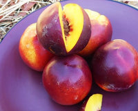 Double Delight Nectarine