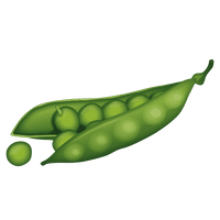 Pea