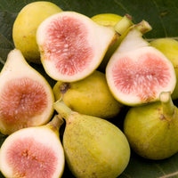 Peter's Honey (Rutara) Fig